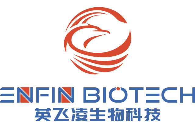 广州网站建设案例：英飞凌生物科技